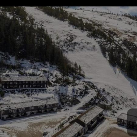 Leilighet Pa Gautefall Daire Drangedal Dış mekan fotoğraf